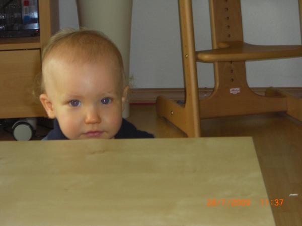 Bild zu