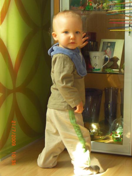 Bild zu