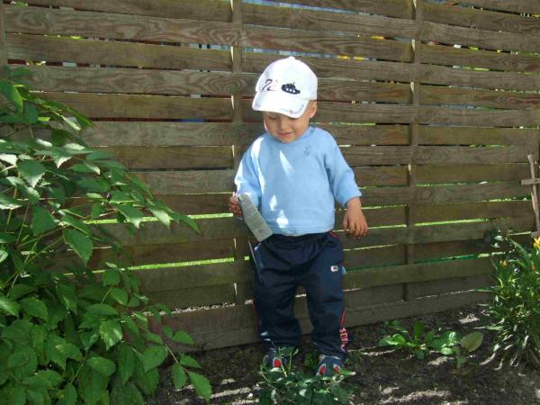 Bild zu 
