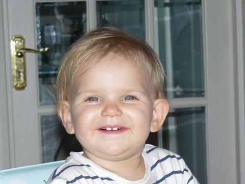 Bild zu