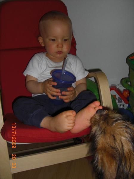 Bild zu