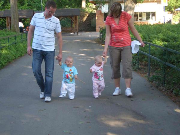 Bild zu