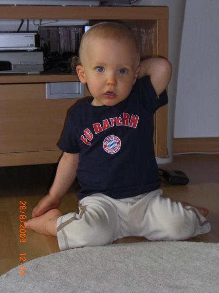 Bild zu