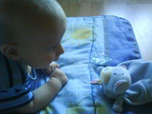 Bild zu 