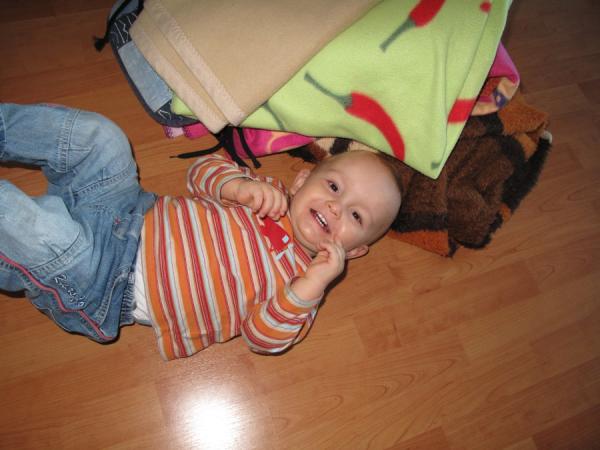 Bild zu