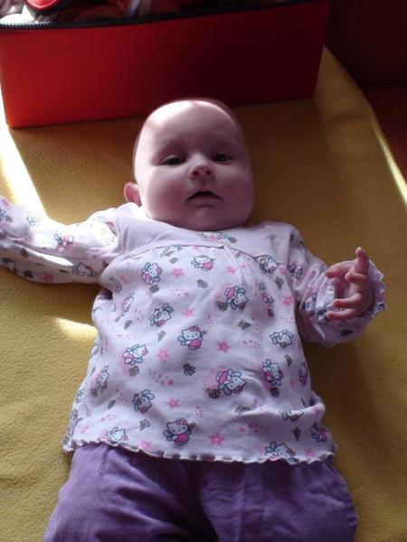 Bild zu