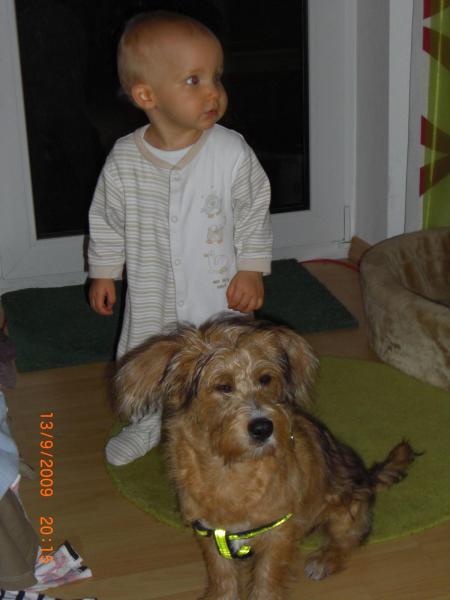 Bild zu