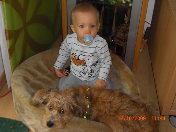 Bild zu