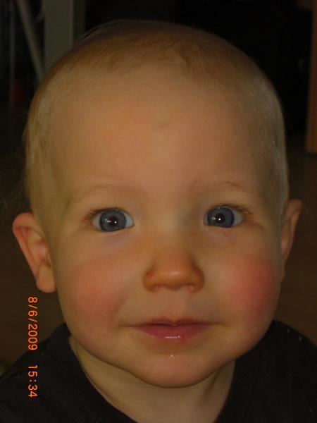 Bild zu 