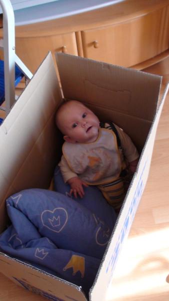Bild zu 