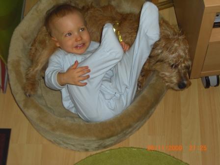 Bild zu 