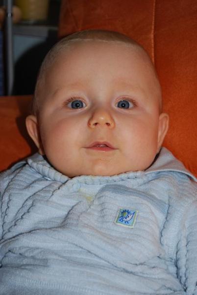 Bild zu 