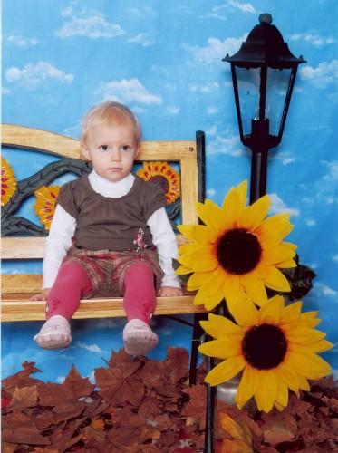 Bild zu 