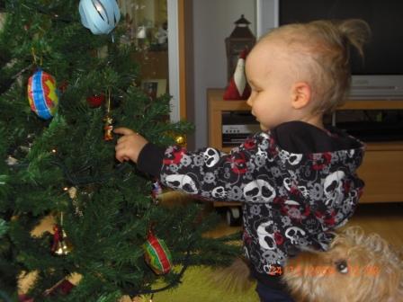 Bild zu