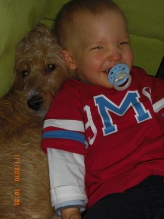 Bild zu