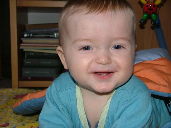 Bild zu 