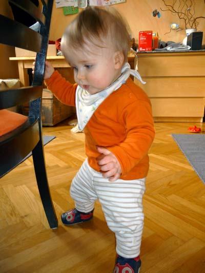 Bild zu