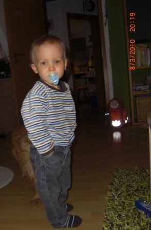 Bild zu