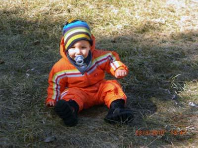 Bild zu