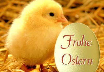 Bild zu 