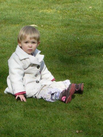 Bild zu