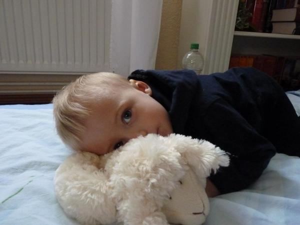 Bild zu