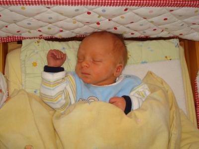 Bild zu So, hier nun auch unser kleiner Prinz.... - Forum für Mai - Mamis