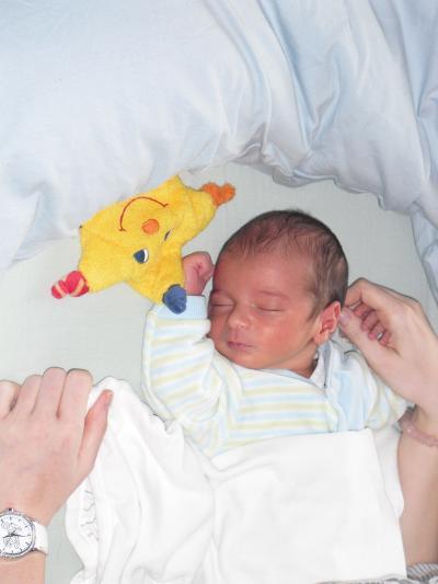Bild zu Foto von Cem - Forum für Mai - Mamis