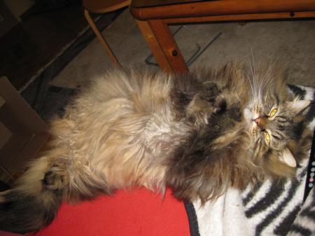 Bild zu 