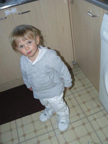 Bild zu 
