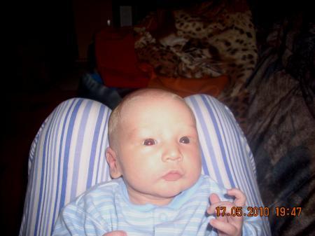 Bild zu