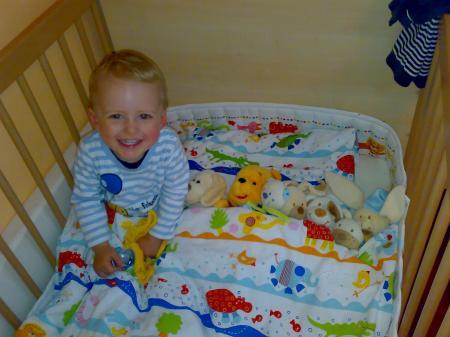 Bild zu 
