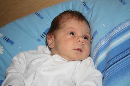 Bild zu 