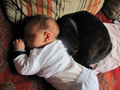 Bild zu Soo süß kuschelalarm - Forum für Mai - Mamis