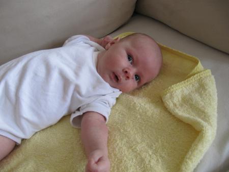Bild zu