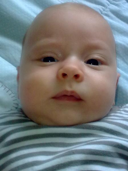 Bild zu 