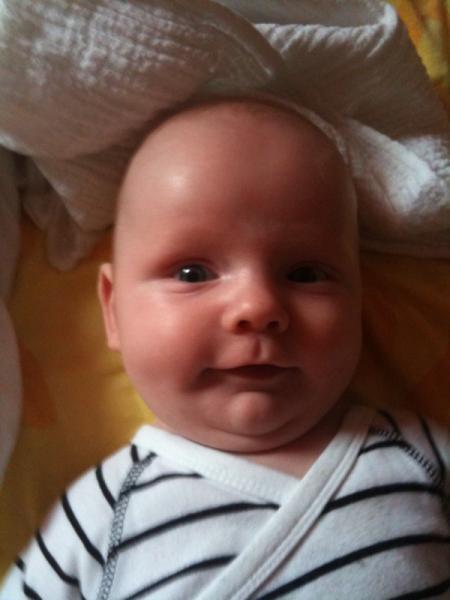 Bild zu 