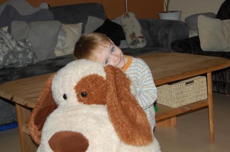 Bild zu 