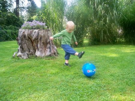 Bild zu 
