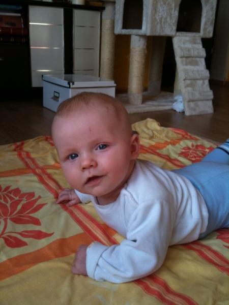 Bild zu 