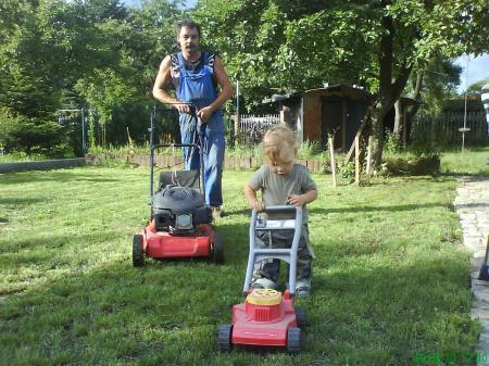 Bild zu