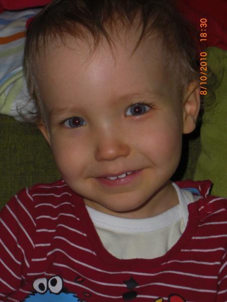 Bild zu