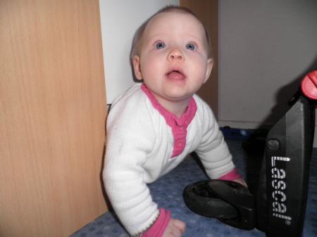 Bild zu 