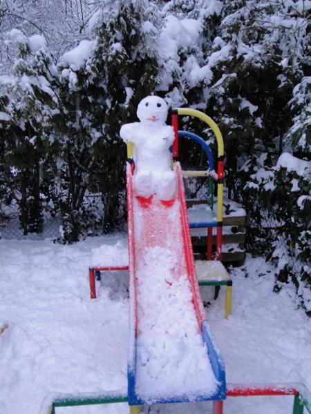Bild zu 