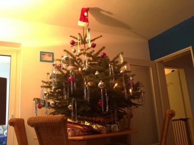 Bild zu Unser Weihnachtsbaum - Forum für Mai - Mamis