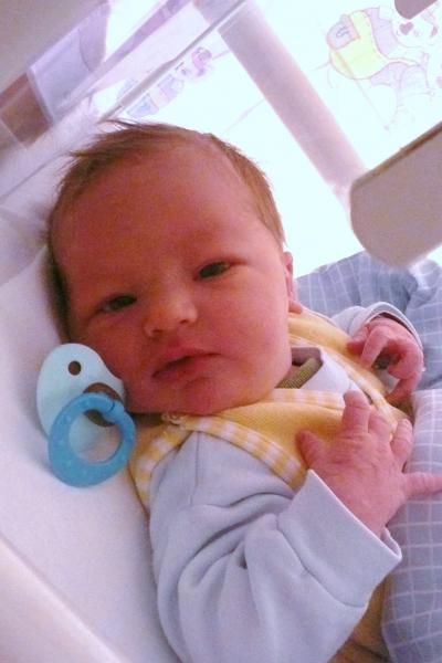 Bild zu JONAS ist da - Forum für Mai - Mamis