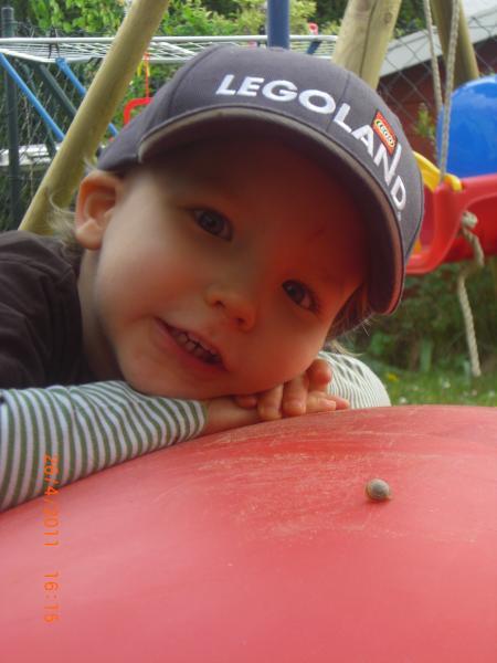 Bild zu