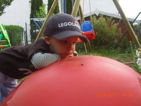 Bild zu 