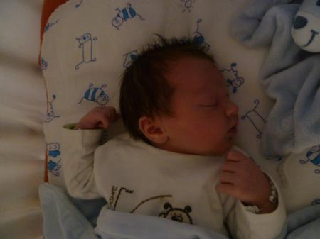 Bild zu