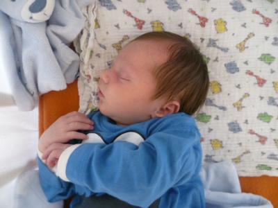 Bild zu neues Babyfoto - Forum für Mai - Mamis